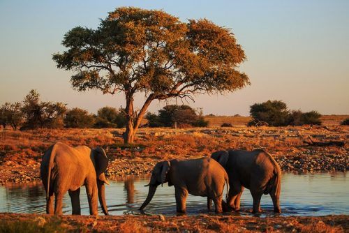 Top destination-Namibia