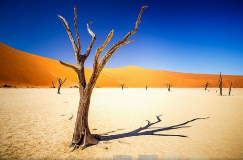 Namibia