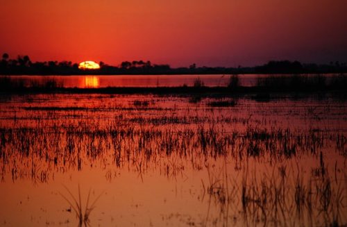 Okavango Delta-Botswana